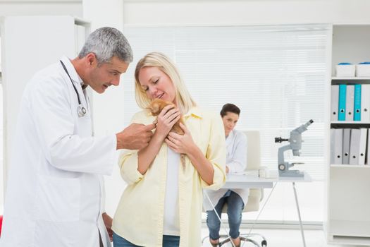Veterinarian looking cat in it owner arms in medical office 