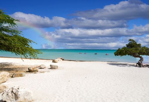 Idyllic views of a beach on Aruba