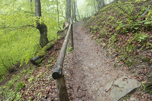 Mountain narrow path with an old wooden handrail in a damp forest rises up the hill