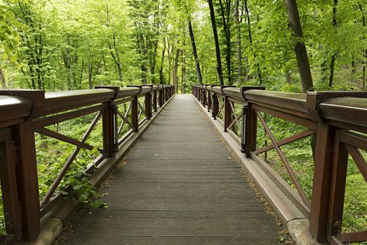 A new large wide wooden bridge in a light green old park, traversing a deep gorge