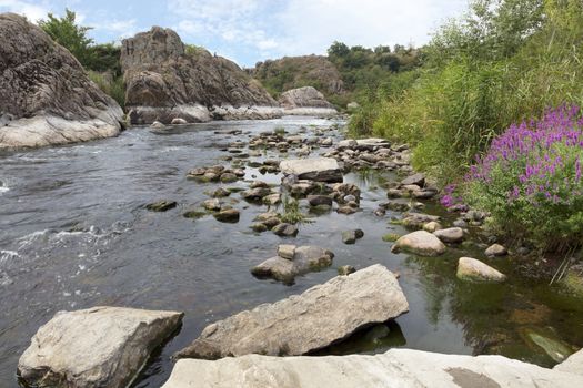 Granite and basalt rock formations and bright green vegetation with flowering shrubs on the banks of the fast river