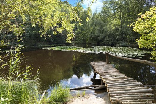 A small wooden pier from solid logs on a summer pond in the thick of the forest