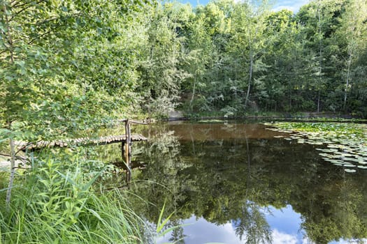 Reflection of a green forest, a blue sky and a small wooden pier on the shore of a forest pond in the summer