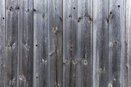 Weathered old gray wooden fence, nailed with wooden nails, close-up