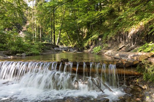 Daylight in the forest illuminates the clear waters of a mountain river. In the cascading waterfall of a mountain stream in the Carpathians, the blue sky reflects.