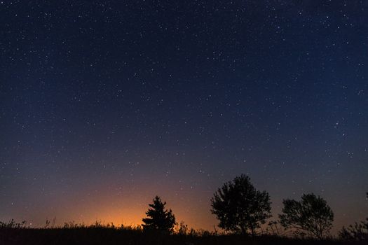 A night starry sky through lonely trees and grass. The last light of the sun's rays at the bottom of the image.