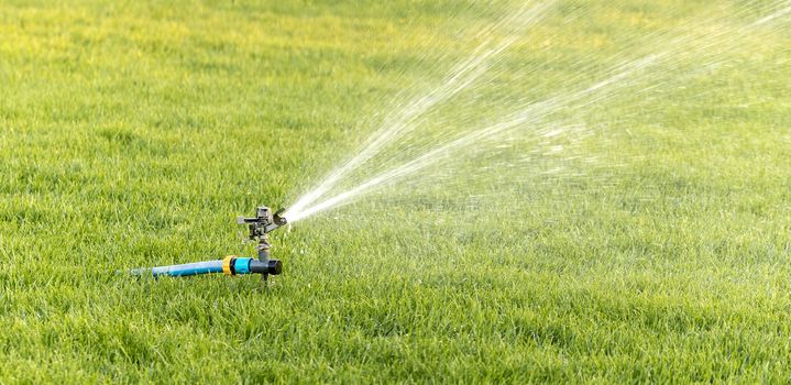 A close-up of a horizontal oscillating sprinkler for lawns that pours a little withered grass