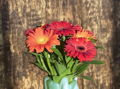 Beautiful red-red autumn bouquet of gerberas in a glass colored vase on the background of an old wooden wall close-up. Fiery colors of the bouquet in the hard rays of the rising sun