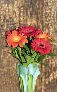 Beautiful red-red autumn bouquet of gerberas in a glass colored vase on the background of an old wooden wall close-up. Fiery colors of the bouquet in the hard rays of the rising sun