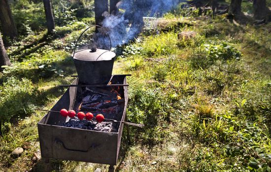 In the old cauldron on the barbecue cooking porridge against a forest clearing at noon. On the skewer are strung and baked red tomatoes.