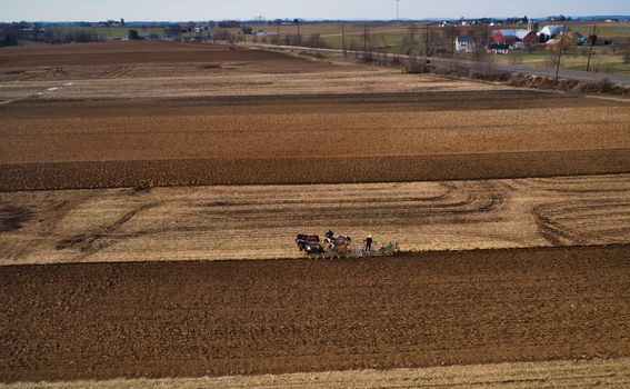 Aerial View of Amish Farm Worker Turning the Field in Early Spring as Seen by a Drone