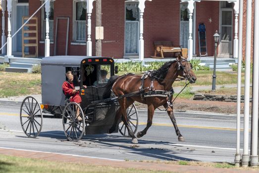 Bird in Hand, Pennsylvania, July 2010 - Amish Horse and Buggy on a Sunny Summer Day