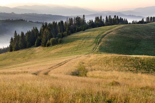 Long shadows from the growing trees lie on the road at the top of the mountain in the rays of the rising sun against the backdrop of the mountain summer landscape of the Carpathians.