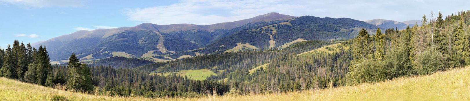 A beautiful panorama of the Carpathian mountains in the summer in the rays of the morning sun. A view of Mount Gumba, which is located near the town of Pilipets.