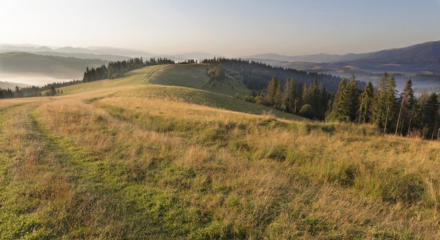 Long shadows from the growing trees lie on the road at the top of the mountain in the rays of the rising sun against the backdrop of the mountain summer landscape of the Carpathians.