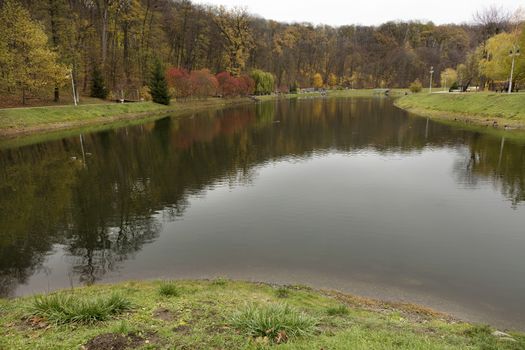Golden autumn came to the shores of a clean pond in an autumn park