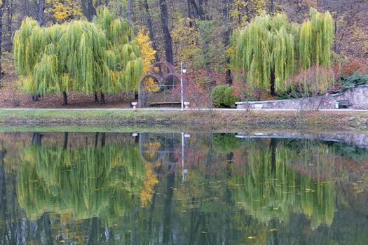 A metal gazebo stands between beautiful green weeping willows on the shore of a pond in an autumn park