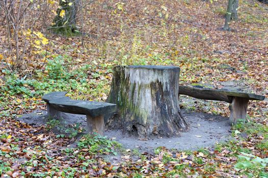 In the forest glade there are stumps used as a table and benches