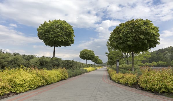 A paved stepped path in a beautiful park passes through a green lawn with decorative flowers, framed on both sides by sheared bushes and lanterns for lighting