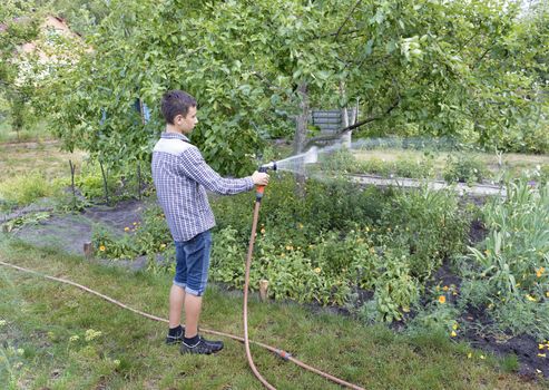 A young man irrigates a flower bed in a garden from a water sprayer.