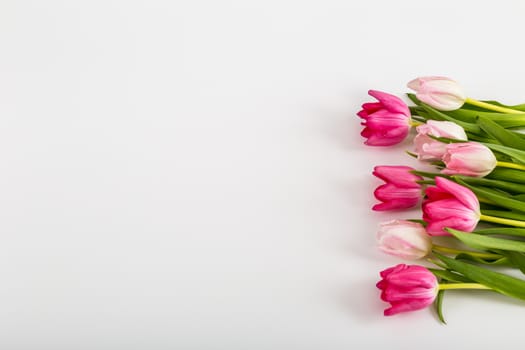 Spring Fresh multicolored tulips isolated on white background. Congratulation. Valentine's Day, spring, Easter. Space for text.