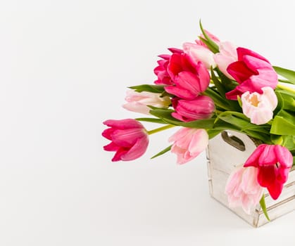 Spring Fresh multicolored tulips in box isolated on white background. Congratulation. Valentine's Day, spring, Easter. Space for text.