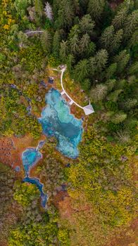 Zelenci Natural Reserve in Slovenia. Aerial Drone View at Fall Colors. Natural Patterns.