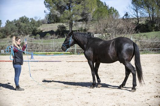  riding girl are training her black horse