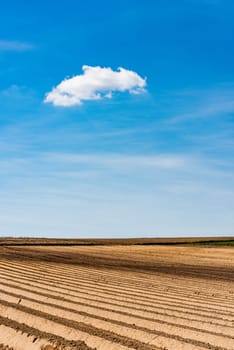 Plowed or Ploughed Fields in Countryside. Organic Food and Agriculture. Blue Sky over Horizon.