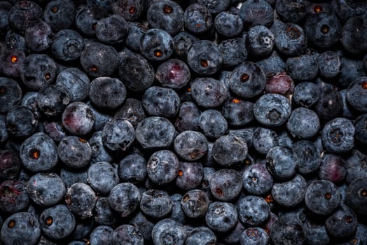 Wild Blueberry Close Up Food Background. Organic Fresh Bio Food.