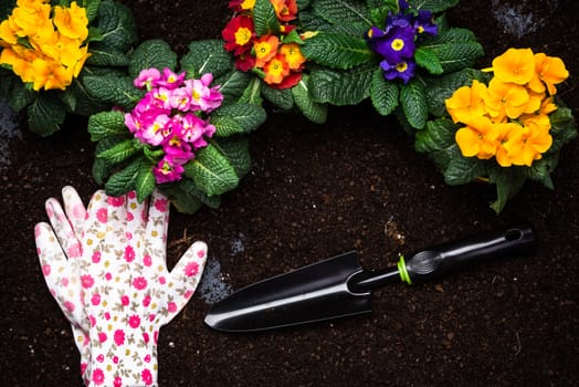 Gardening Activity, Hobby and Lesure at Early Spring in Garden. Copy Space Background. Top Down View.