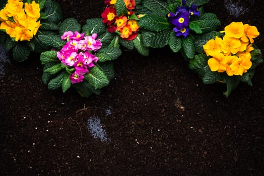 Gardening Activity, Hobby and Lesure at Early Spring in Garden. Copy Space Background. Top Down View.