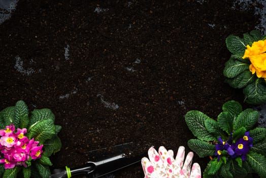 Gardening Activity, Hobby and Lesure at Early Spring in Garden. Copy Space Background. Top Down View.