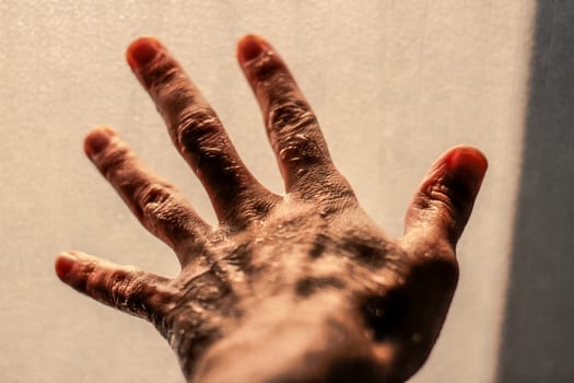 Photograph of an open wet human hand