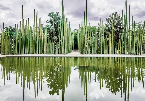 Oaxaca, Oaxaca / Mexico - 21/7/2018: Detail of the Ethnobotanic garden in Oaxaca Mexico