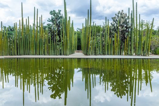 Oaxaca, Oaxaca / Mexico - 21/7/2018: Detail of the Ethnobotanic garden in Oaxaca Mexico