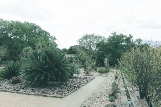 Oaxaca, Oaxaca / Mexico - 21/7/2018: Detail of the Ethnobotanic garden in Oaxaca Mexico
