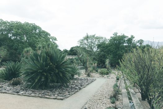 Oaxaca, Oaxaca / Mexico - 21/7/2018: Detail of the Ethnobotanic garden in Oaxaca Mexico