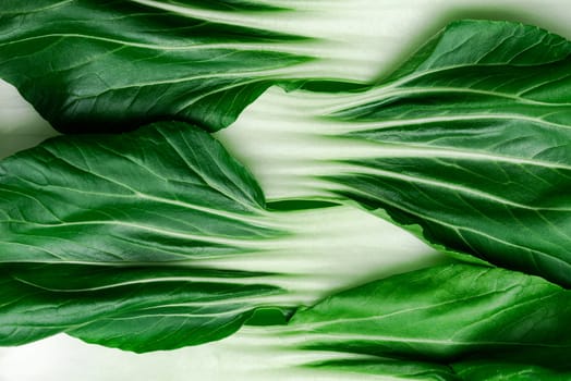 Natural Green Pattern. Close Up Green Vegetable Leaves Background.