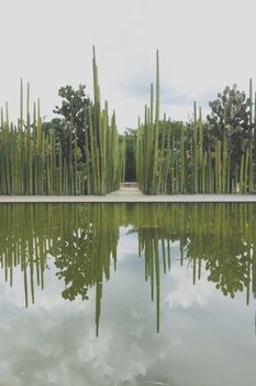 Oaxaca, Oaxaca / Mexico - 21/7/2018: Detail of the Ethnobotanic garden in Oaxaca Mexico