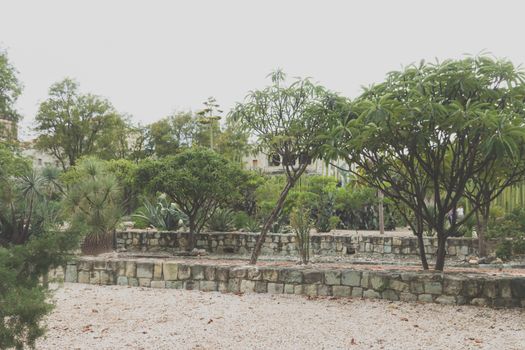 Oaxaca, Oaxaca / Mexico - 21/7/2018: Detail of the Ethnobotanic garden in Oaxaca Mexico