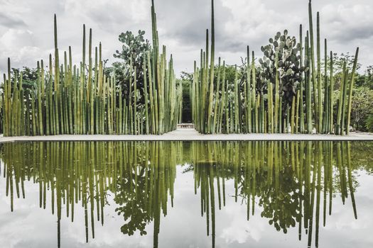 Oaxaca, Oaxaca / Mexico - 21/7/2018: Detail of the Ethnobotanic garden in Oaxaca Mexico