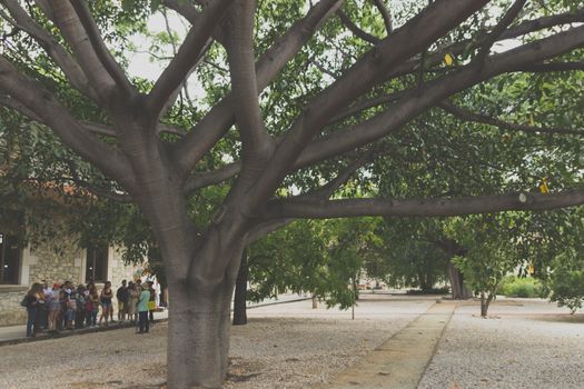 Oaxaca, Oaxaca / Mexico - 21/7/2018: Detail of the Ethnobotanic garden in Oaxaca Mexico