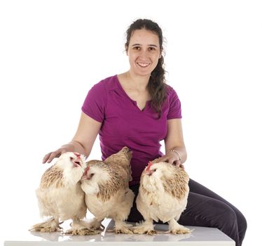 Faverolles chicken and woman in front of white background