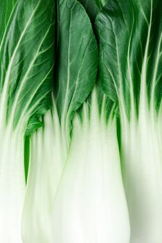 Bok Choy r Pak Choi Chinese Cabbage. Green Natural Patter for Design.