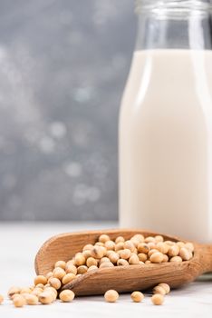 Alternative Non Dairy Soy or Soya Milk. Diet and Nutrition Concept.