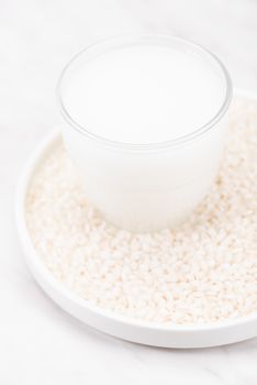Rice Milk. Alternative Non Dairy Oraganic Milk. Plant Based Food.