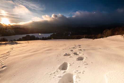 Foot Steps Trial in Deep Snow in Bieszczady Mountains at Winter. Sunrise Sun Rays. Warm Colors.