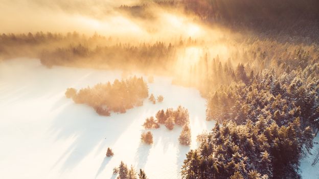 Fog over Pine Trees Covered in Snow at Cold Sunrise in Winter. Aerial Drone View.