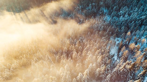 Amazing Sunrise over Foggy Winter Forest, Aerial Drone View.